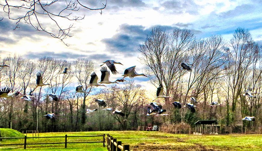 Discovering the natural reserves of the villages of Friuli Venezia Giulia