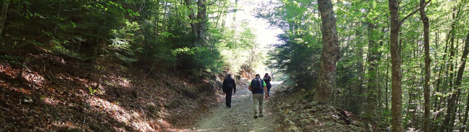 Aspromonte