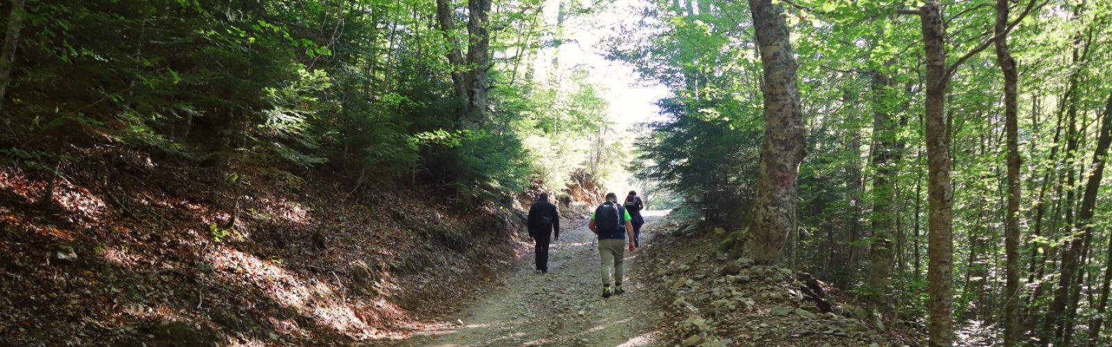 Aspromonte