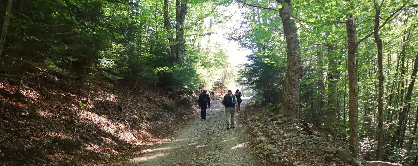 Aspromonte