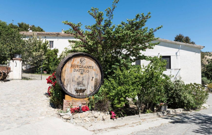Unforgettable experience: Discover the world of agriculture and wine at Ceraudo Farm in Strongoli