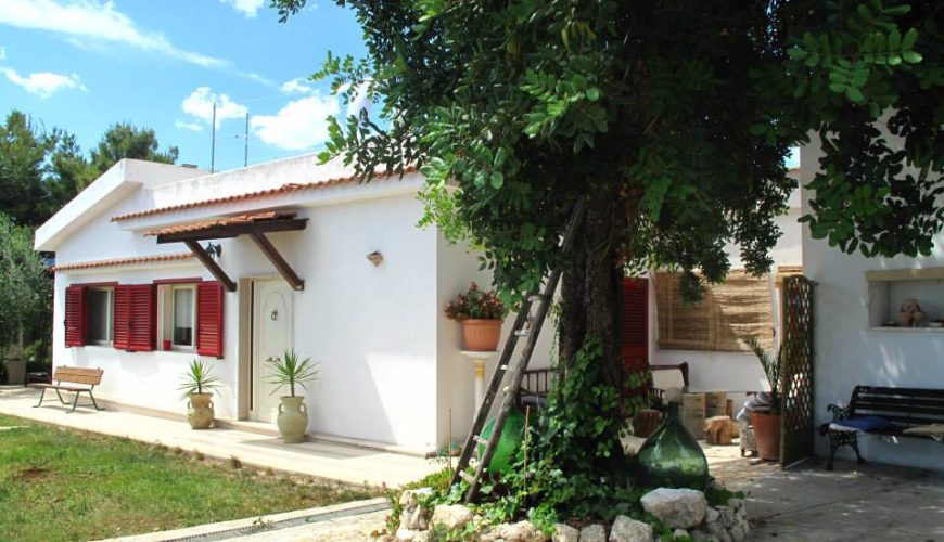 B&B Residenza Collina dei Pini