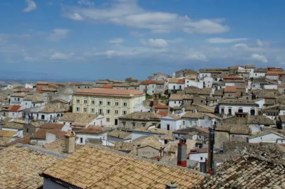 Bovino