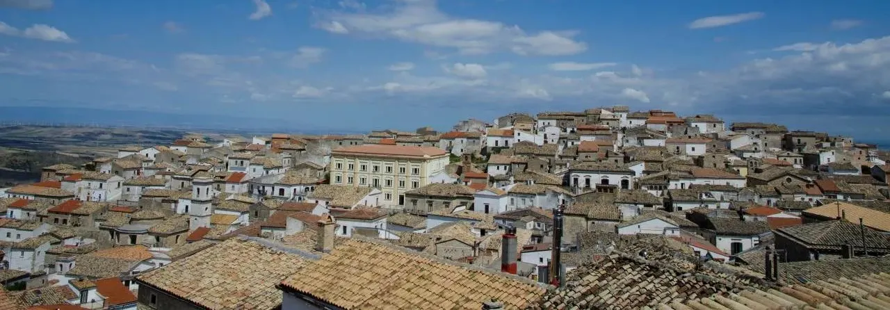 Bovino - daniele coppola flickr