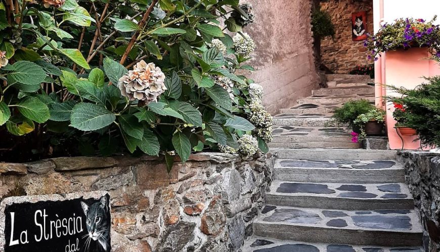 Brolo, the ‘Land of Cats’ on the shores of Lake Orta