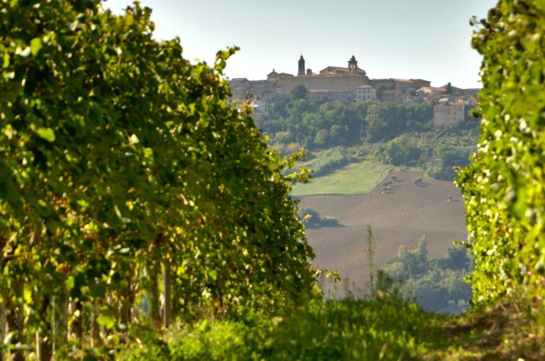 Cupramontana-Accoglie