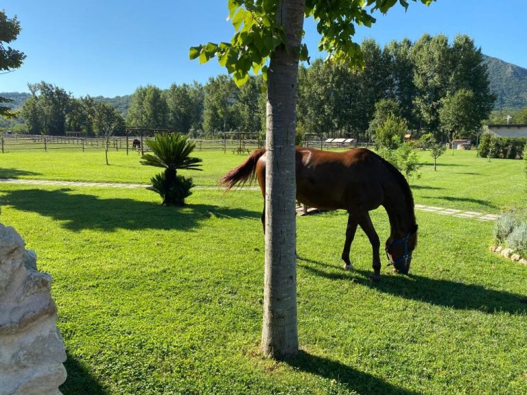 Family Farm