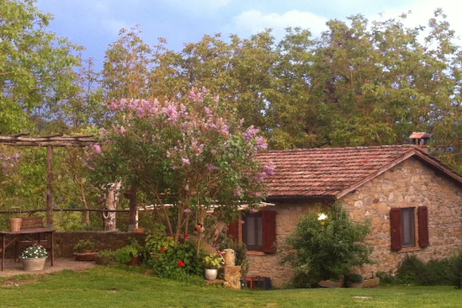 Fattoria Poggio di Dante