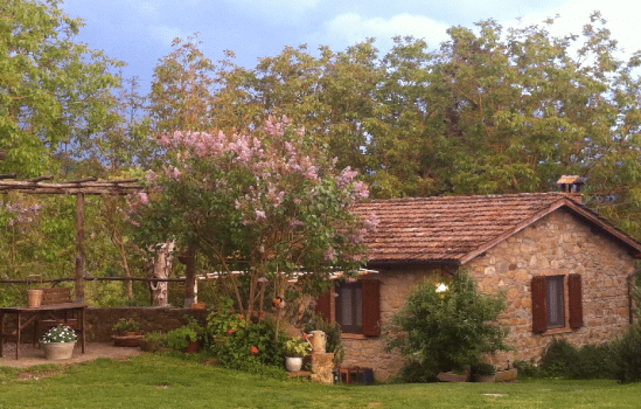 Fattoria Poggio di Dante