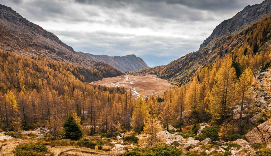 Foliage in Valtellina, between villages and autumn excursions