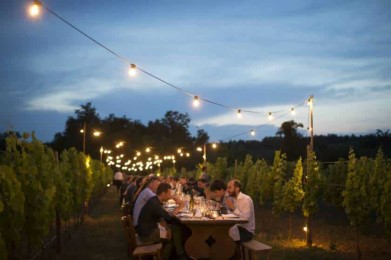 Friuli-Venezia Giulia, cena in vigna