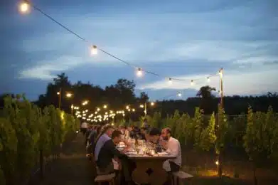 Friuli-Venezia Giulia, cena in vigna