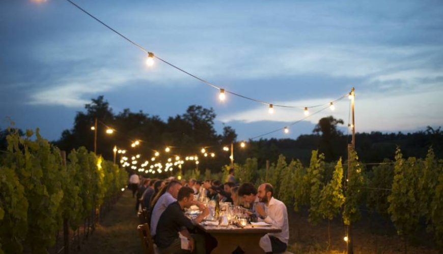 Friuli-Venezia Giulia, cena in vigna