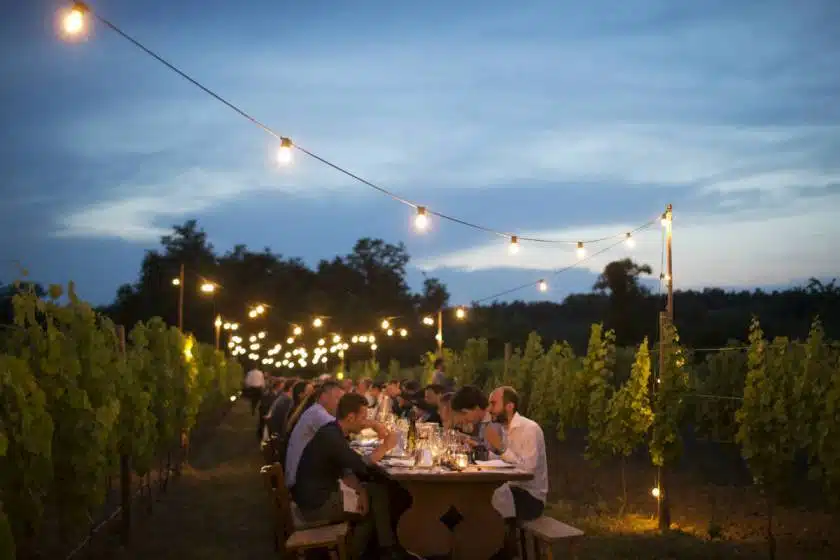 Friuli-Venezia Giulia, cena in vigna
