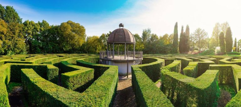 GARDEN Idrovita - Polimero Idroretentore Per Piante, Risparmio Acqua 50%, Biodegradabile, Durata 4 Anni - 4