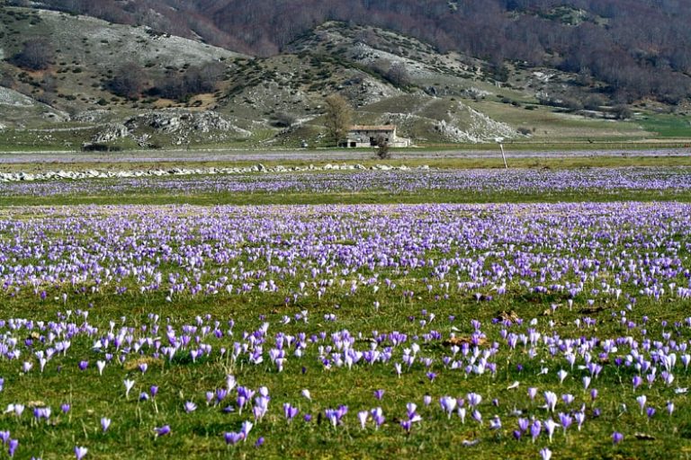 Gli altipiani del Cicolano, un itinerario fra paesaggi pastorali, laghi e faggete