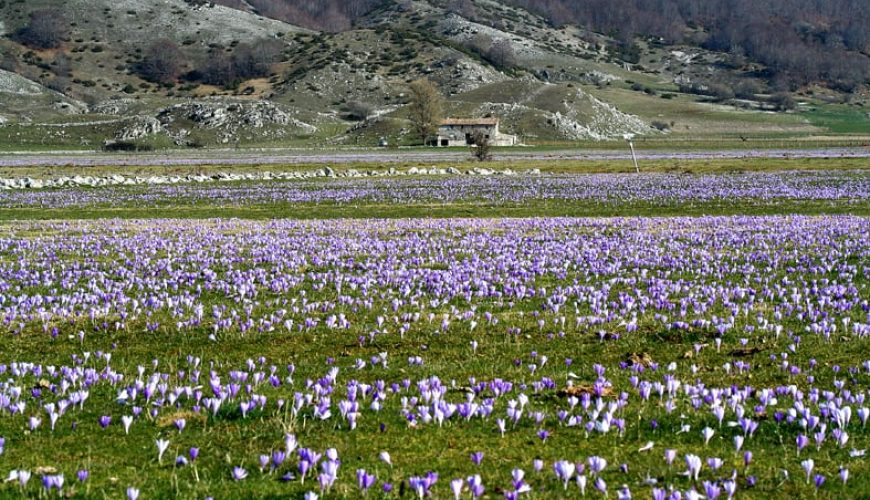The Cicolano plateaus, an itinerary among pastoral landscapes, lakes and beech woods