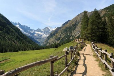 Gran Paradiso National Park … terrestrial