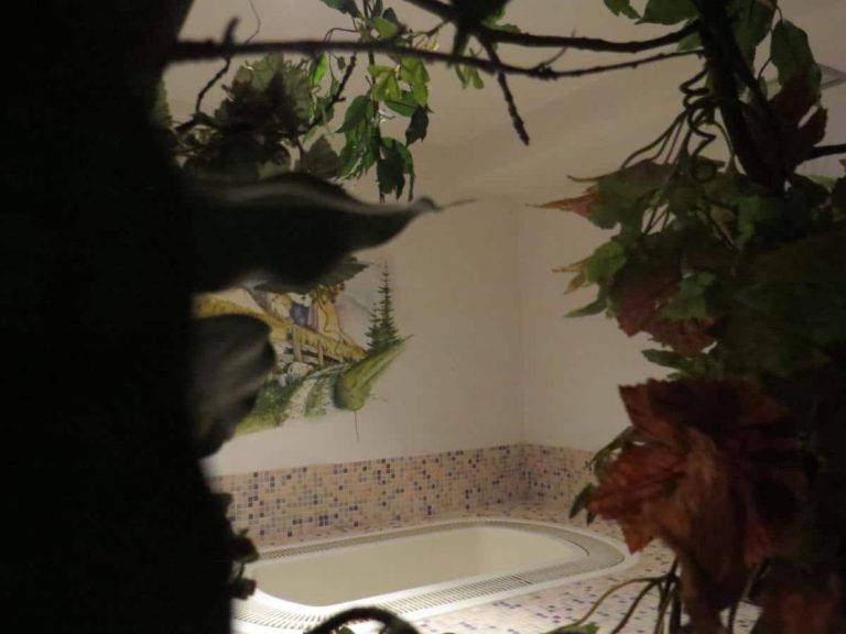 Hotel cima Dodici sauna