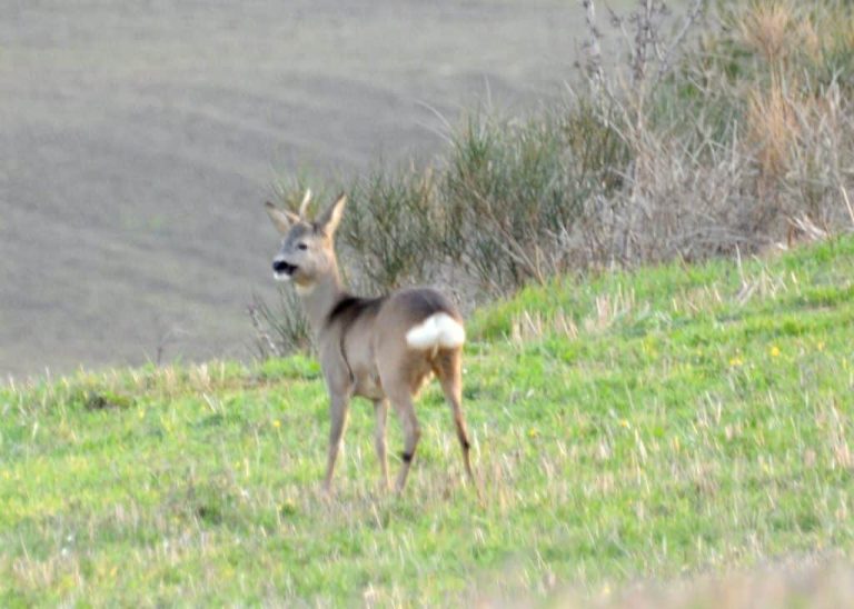 I Monti Sibillini, un luogo incantato nelle Marche tra grotte magiche, fate e unicorni