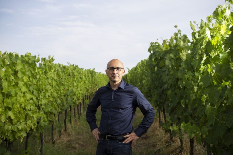 A Full Experience at Tenuta la Viola in Bertinoro
