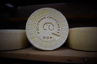 Il Marchesato Crotonese: patria del Pecorino Crotonese DOP