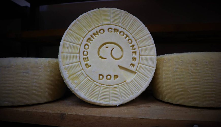 The Marchesato Crotonese: home of Pecorino Crotonese PDO