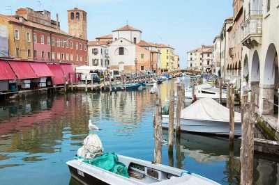 The fish market of Chioggia, a real tourist attraction
