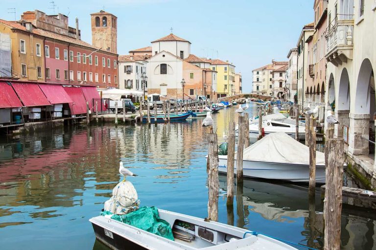 The fish market of Chioggia, a real tourist attraction