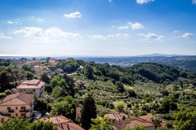 Explore the magic of Montescudaio