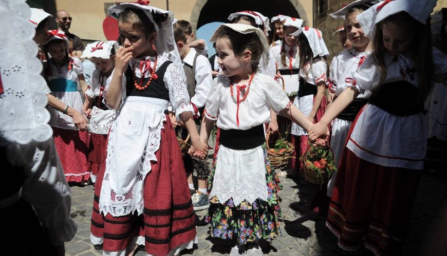 Spring in the strawberry village