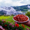 Sapori in Quota Scopri i Prodotti Tipici di Montagna del Nord e Sud Italia 1