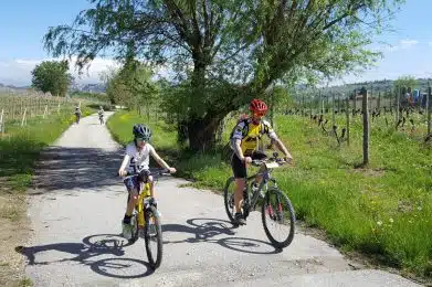 Scopri le Meraviglie delle Langhe in ebike3