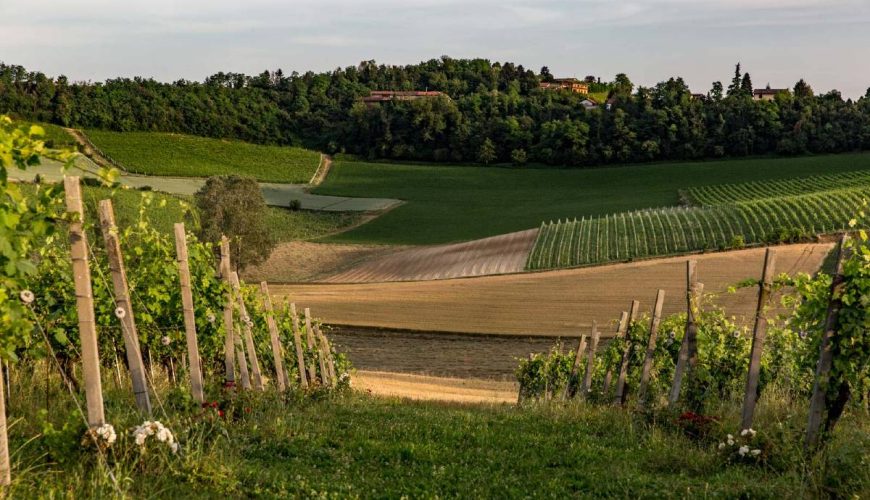 Spinerola Hotel in Cascina & Restaurant UvaSpina