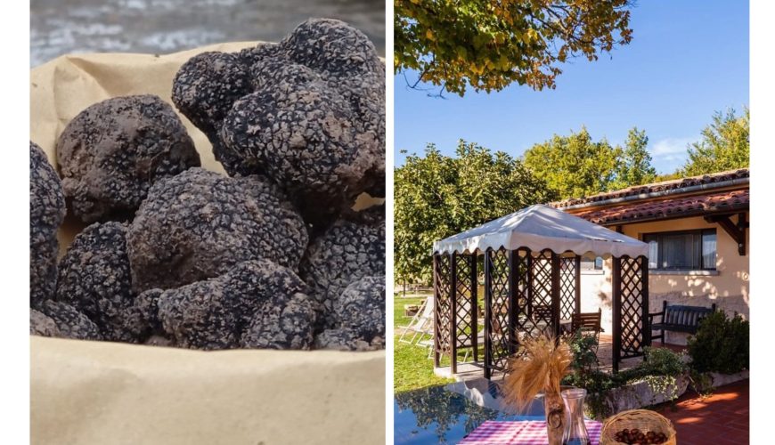 A gastronomic weekend in search of black treasure