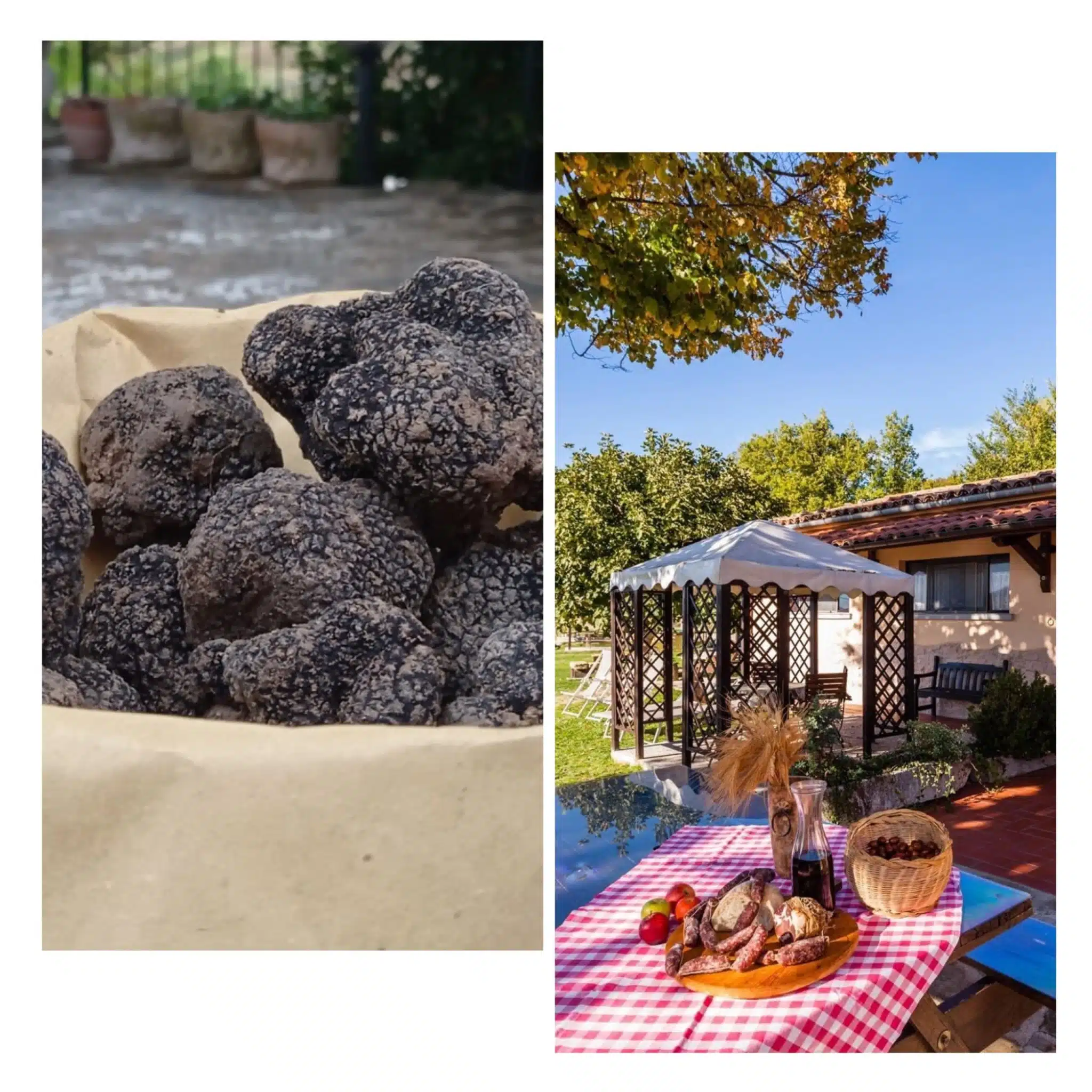 Tesoro nero