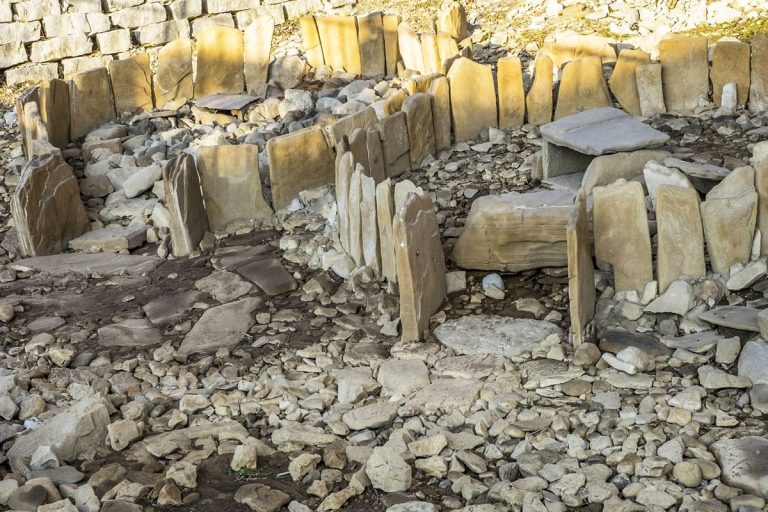 Tombe Paleovenete | Dario Tonet