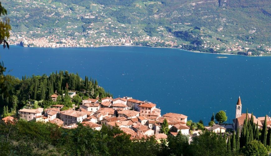 Tremosine