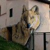 Un affascinante viaggio attraverso la Street Art nei borghi marchigiani 1