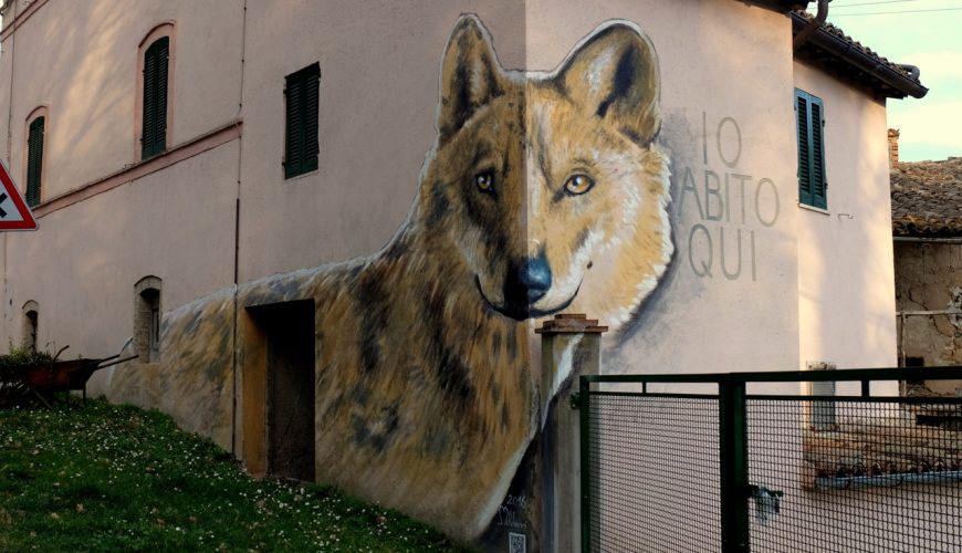 A fascinating journey through street art in the villages of the Marche region