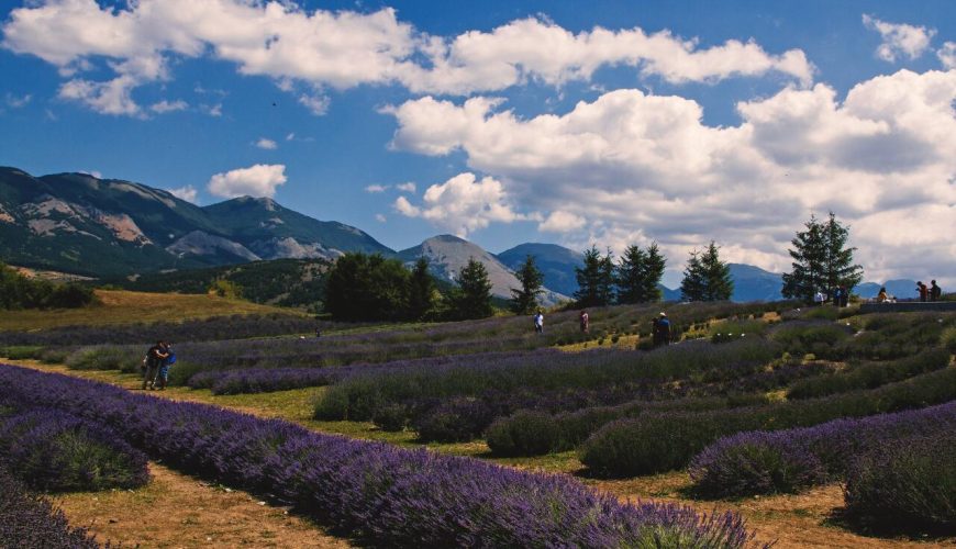 Una passeggiata tra i borghi al profumo di lavanda