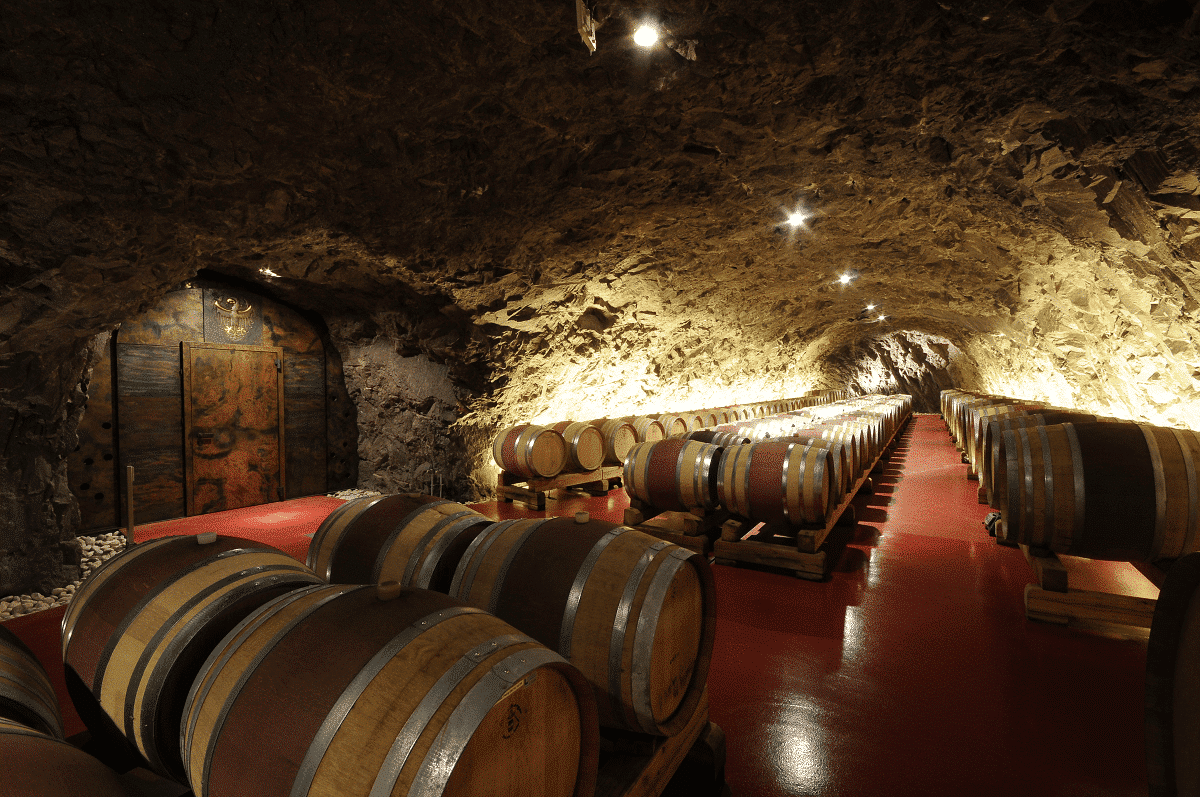 Una sosta alla Cantina Laimburg lungo la Strada del Vino dellAlto Adige 1