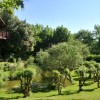 Una vacanza da sogno in una Casa sullalbero 1