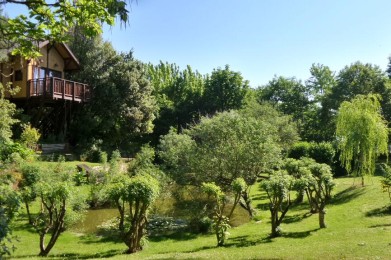 Una vacanza da sogno in una Casa sull'albero
