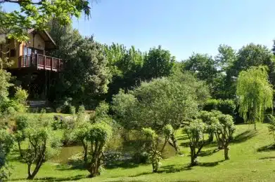 Una vacanza da sogno in una Casa sull'albero