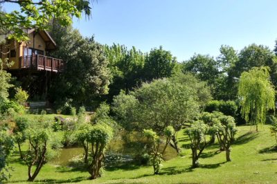 The dream holiday in a tree house