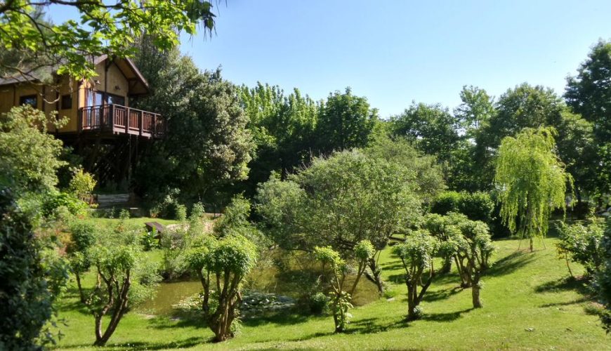 Una vacanza da sogno in una Casa sull’albero