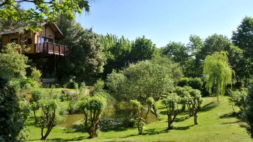 Una vacanza da sogno in una Casa sull'albero
