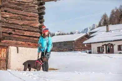 Val di Fiemme: Il tuo spazio bianco in un respiro di benessere