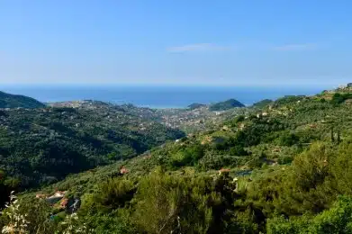 Vallebona: nel cuore della Valle del Rio Borghetto